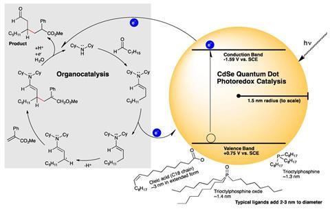 Quantum dots as photocatalysts for C-C bond formation 