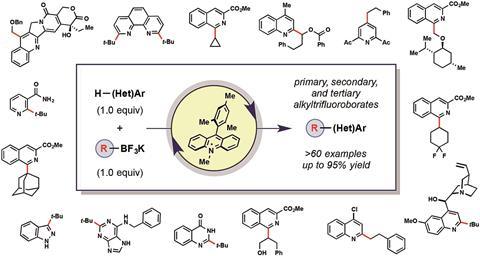 Scope of the radical alkylation of heteroarenes