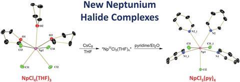 A scheme showing the synthesis of new neptunium halide complexes
