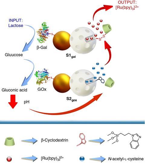 Molecular diagram of how the nanoparticles communicate with each other