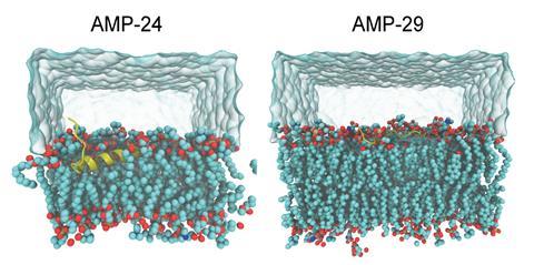 All-atom molecular dynamics simulations of peptide-membrane systems