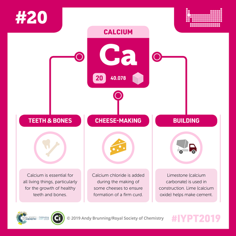 Calcium infographic