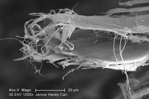 Scanning electron micrograph of chrysotile fibres