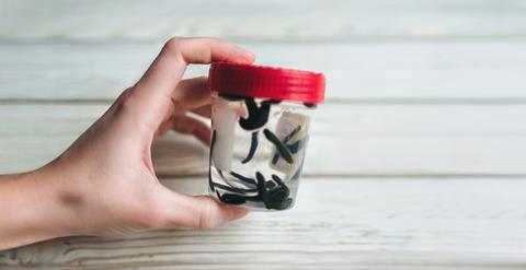 Leeches in a small jar