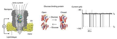 Nanopore glucose sensor for biological samples