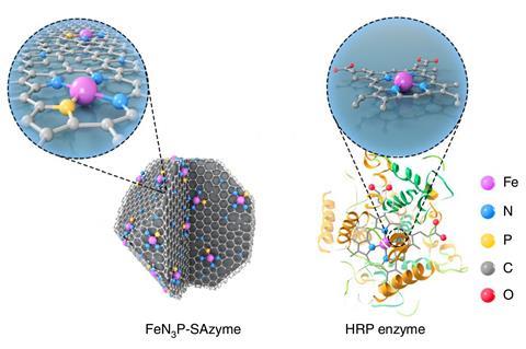 An illustration showing the artifical nanozyme and the natural enzyme. The former is mostly grey carbon atoms arranged in a lattice with a few colourful active sites (iron, nitrogen, phosphorus) scattered throughout.