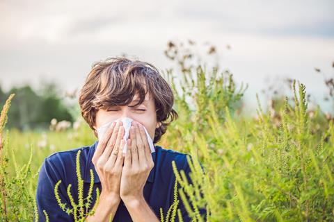 Young man sneezes because of an allergy to ragweed