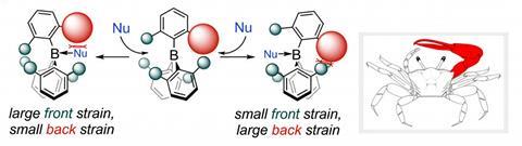 Janus type behaviour of fiddler crab-type boranes