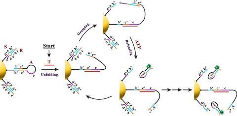 DNA nanomachine