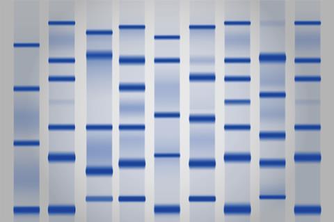 Gel electrophoresis separation - illustration