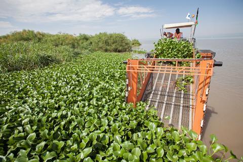 An image showing a water hyacinth harvester