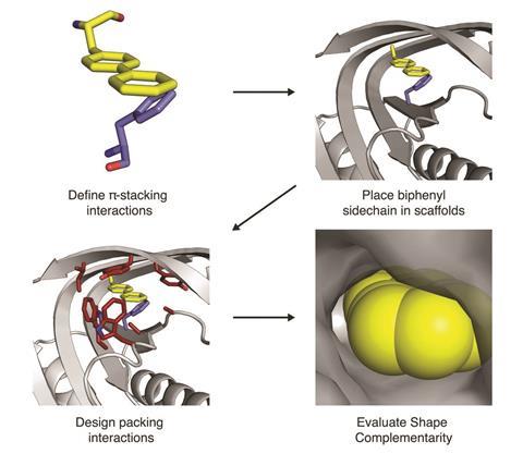 0418CW - Protein folding feature - design of new proteins