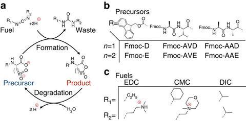 Reaction scheme