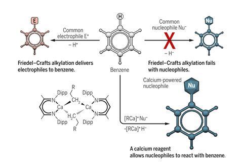 Calcium overpowers benzene