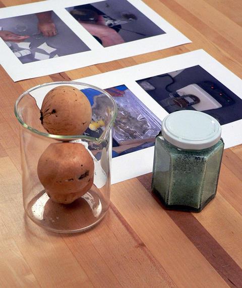 Two oak galls in a beaker and a jar of iron(II) sulfate, ingredients of iron gall ink.