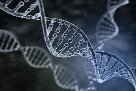 Double strands of DNA unwinding