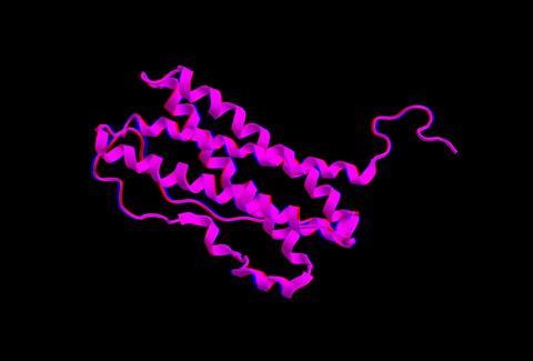Molecular structure of prolactin
