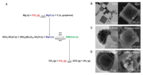 An image showing the synthesis and characterization of NiMoCat