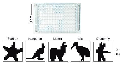 An image showing data plates