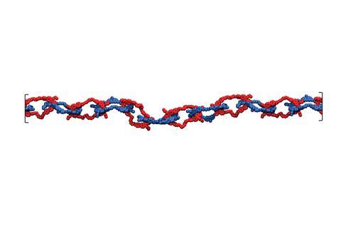 Experimental studies on and simulation of the metallated poly[n]catenanes