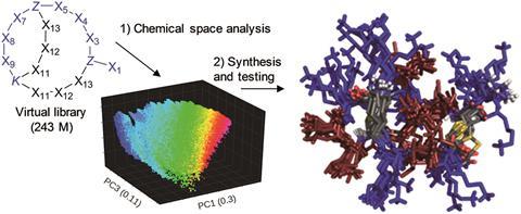 Chemical space analysis of bridged bicyclic peptides