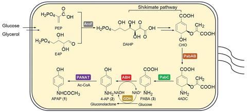 An image showing a reaction pathway