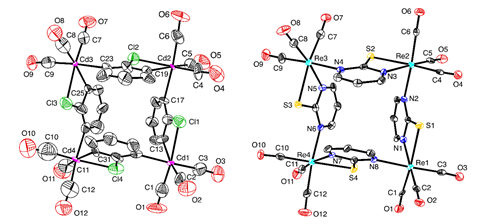 An image showing atom displacement plots