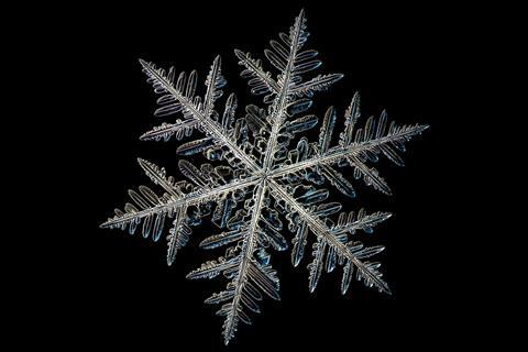 A close up photograph of a snowflake