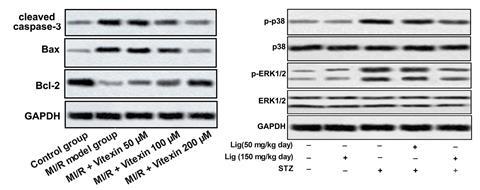 An image comparing two fabricated images