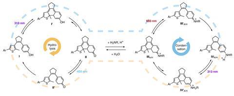 Light-driven bond formation/cleavage cycle