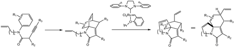 The two-step reaction to form complex polycyclic lactam products