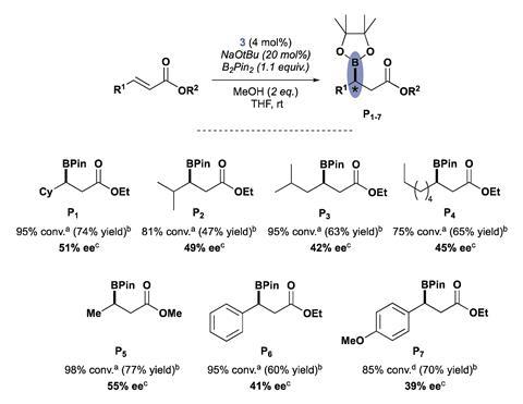 A scheme showing how the complex was tested in a variety of asymmetric conjugate borylation reactions