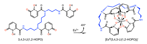 Une image montrant le ligand organique 3,4,3-LI (1,2-HOPO) qui forme un complexe de coordination EsIII, permettant des études structurelles et spectroscopiques