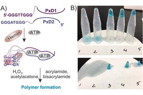 Polymerisation-based visual and tactile detection of ATP