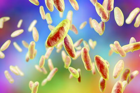 Gram-negative pleomorphic bacteria which cause brucellosis in cattle and humans and are transmitted to man by direct contact with ill animal or by contaminated milk