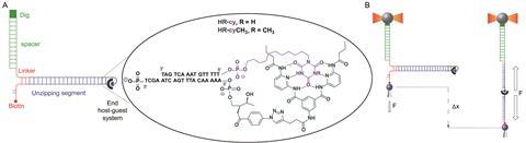 A diagram showing a hydrogen bond and its workings               