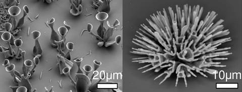 SEM of microstructures - Figures 4d & 4e