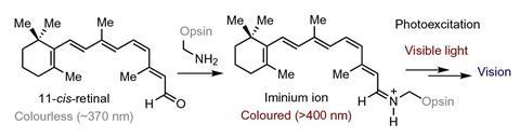 Visible light excitation of iminium for catalysis - Fig 1b