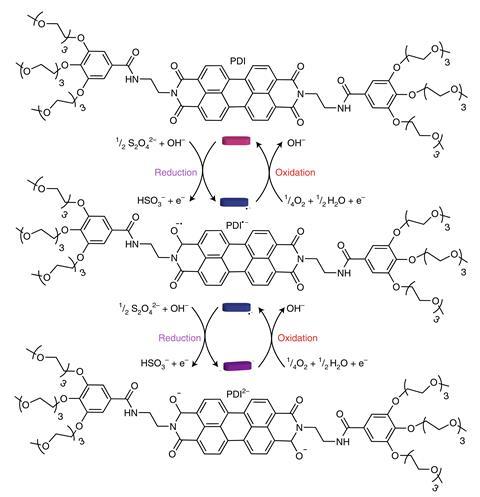 PDI is reduced to PDI2– upon the addition of Na2S2O4. Spontaneous oxidation in air leads first to a radical anion PDI•– and then to the neutral PDI.