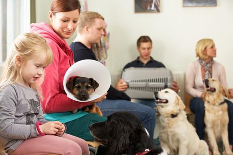 The waiting room of a veterinary surgery