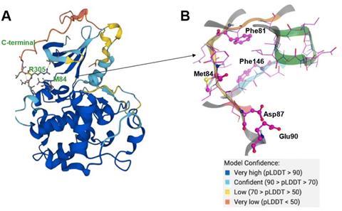 Protein structures