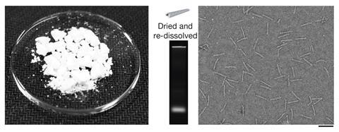 Biotechnological mass production of a DNA origami nanorod