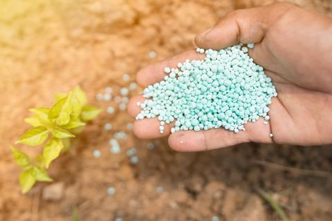 Handful of chemical fertiliser