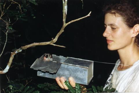 Kathryn Dausmann and a dwarf lemur in a metal trap in a tropical forest at night