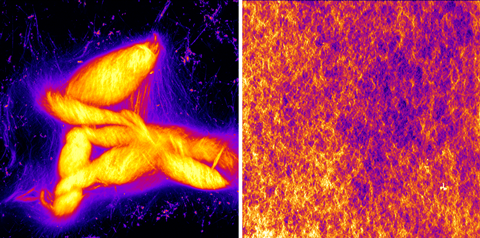 Fire nanoscale