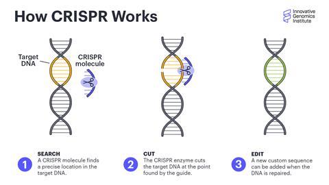 A diagram showing Crispr molecule inserting a new sequence into a strand of DNA