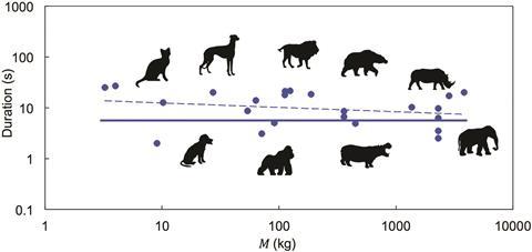 Chart showing the relationship between body mass and defecation time