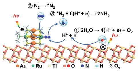 A scheme showing the proposed mechanism for the photocatalytic N2 reduction on the Au4Ru2/TiO2-Ov catalyst