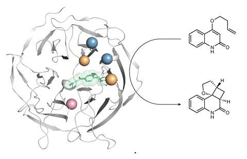 Mutational map and reaction scheme