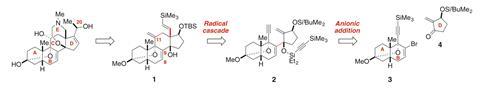 Synthesising batrachotoxin fig1c